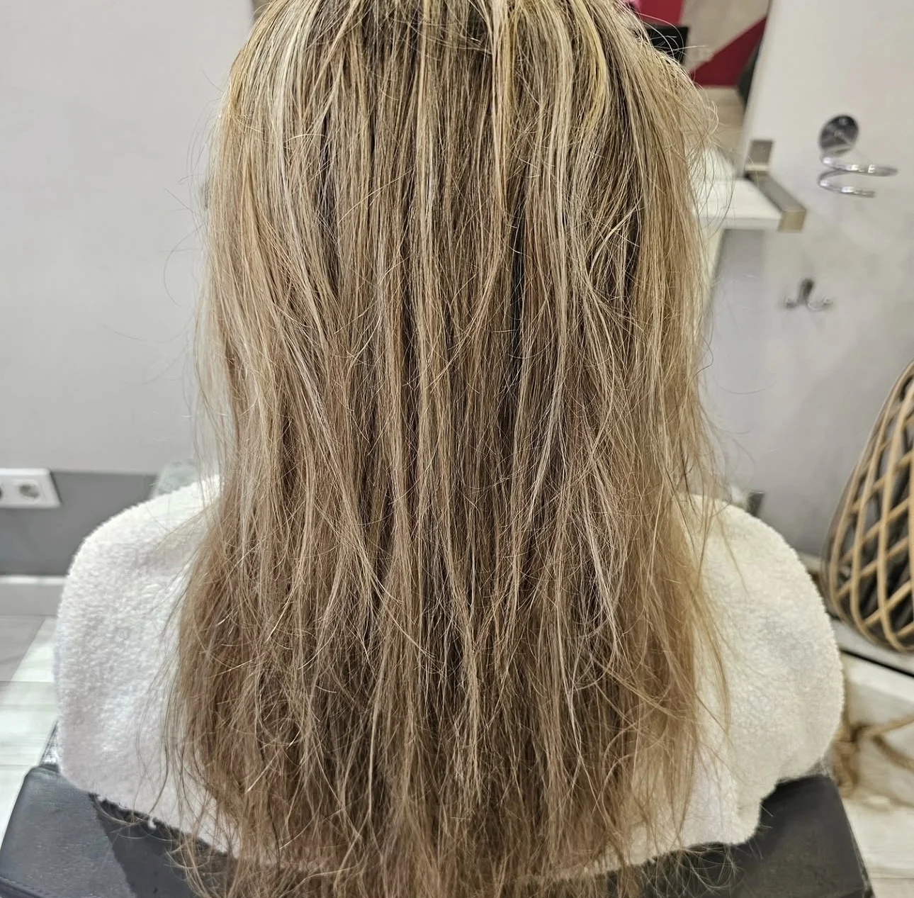 Corte y color Innova10